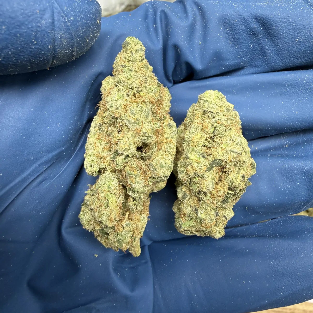 Gmo Flower